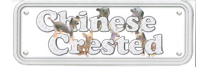 Chinese Crested Chinese Crested